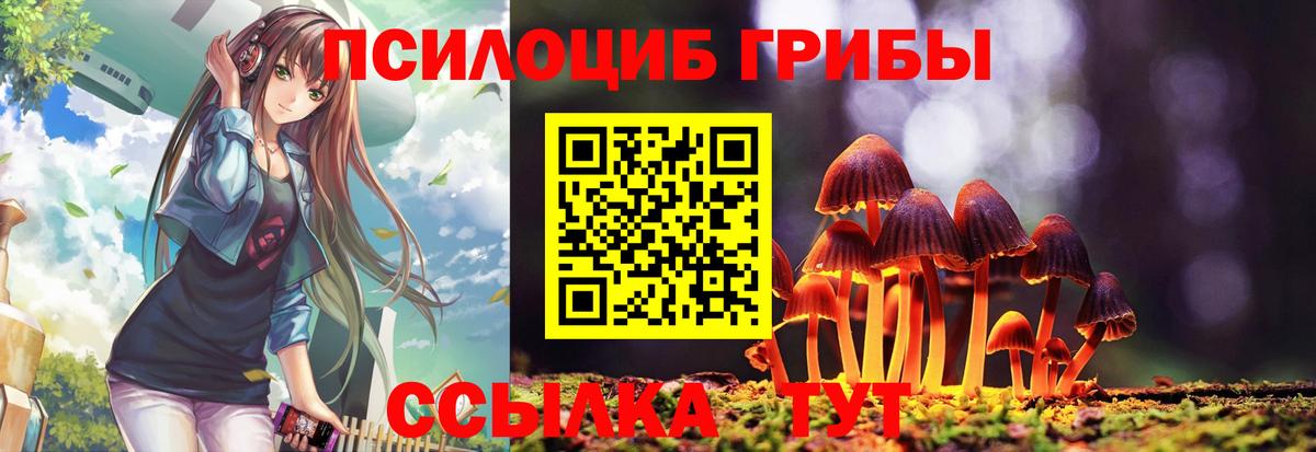 Галлюциногенные грибы мицелий Смоленск