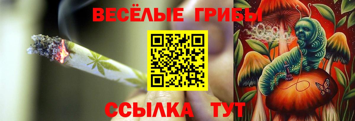 Смоленск  Псилоцибиновые грибы прущие грибы  наркотики  Вход с VPN  Галлюциногенные грибы Psilocybe 